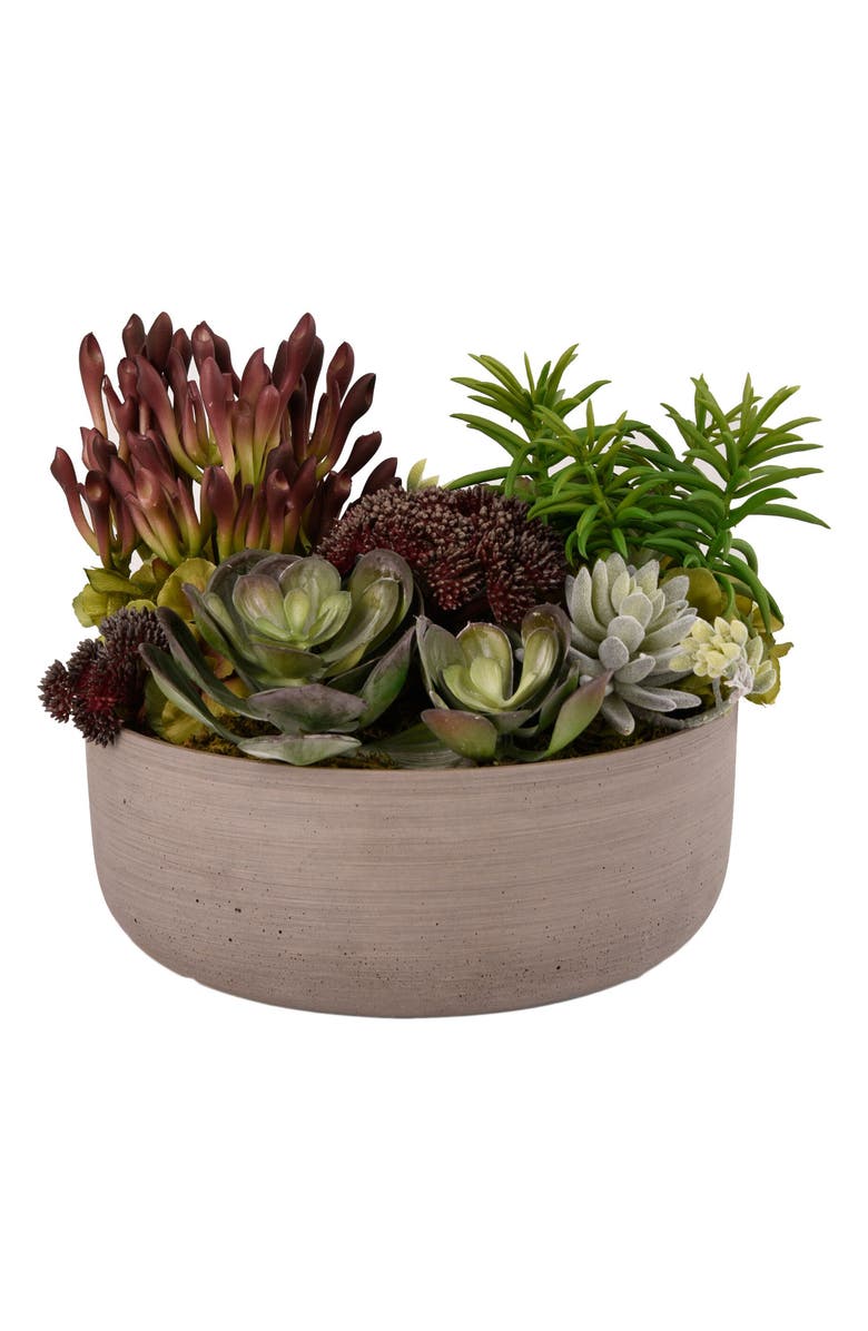 Bloomr Desert Dunes Succulent Arrangement Planter Decoration, Main, color, 