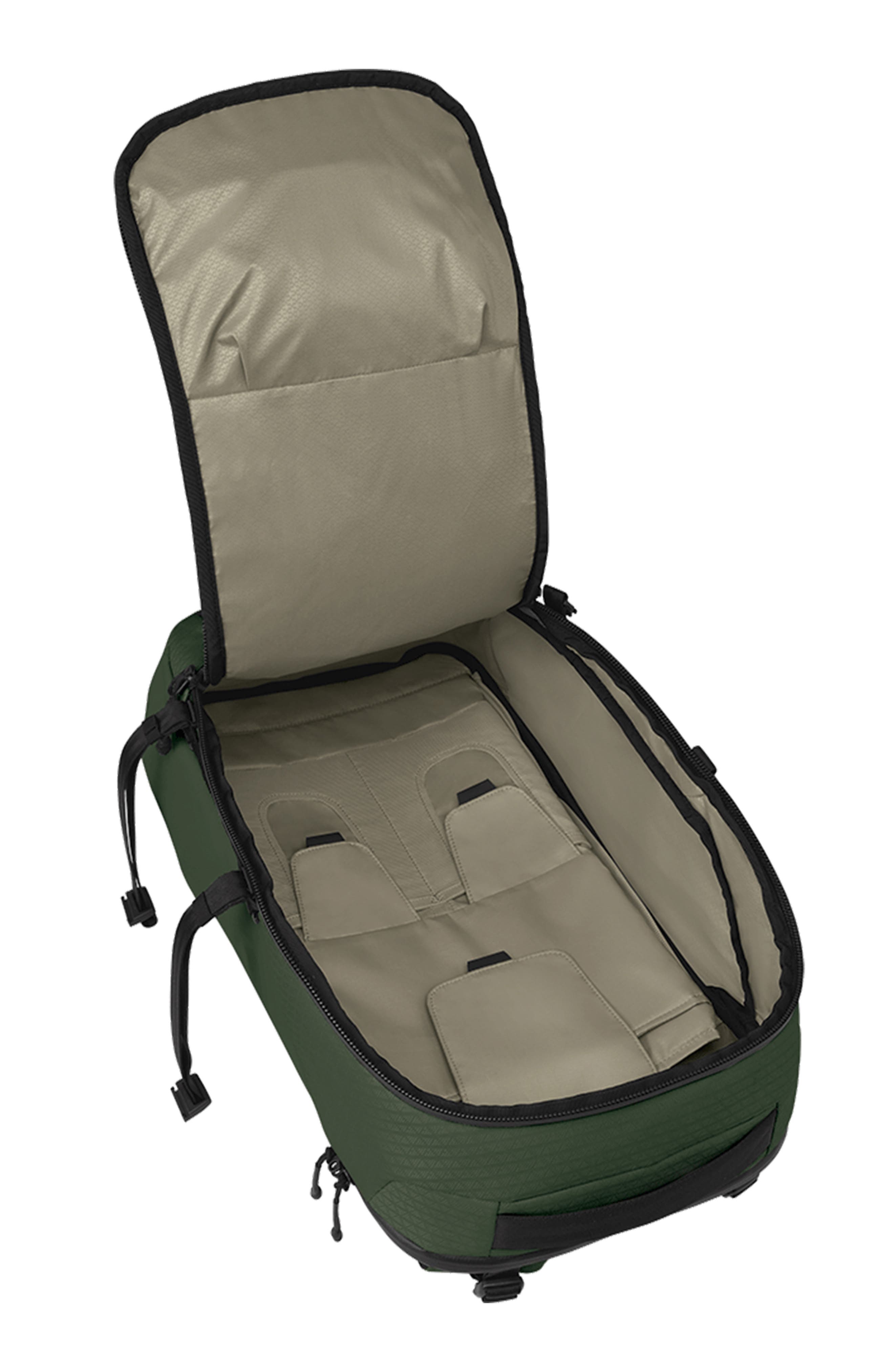 Archeon 24-Liter Backpack, Alternate, color, SCENIC VALLEY