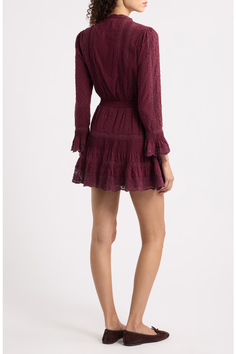 Vesna Embroidered Minidress, Alternate, color, FADED MERLOT