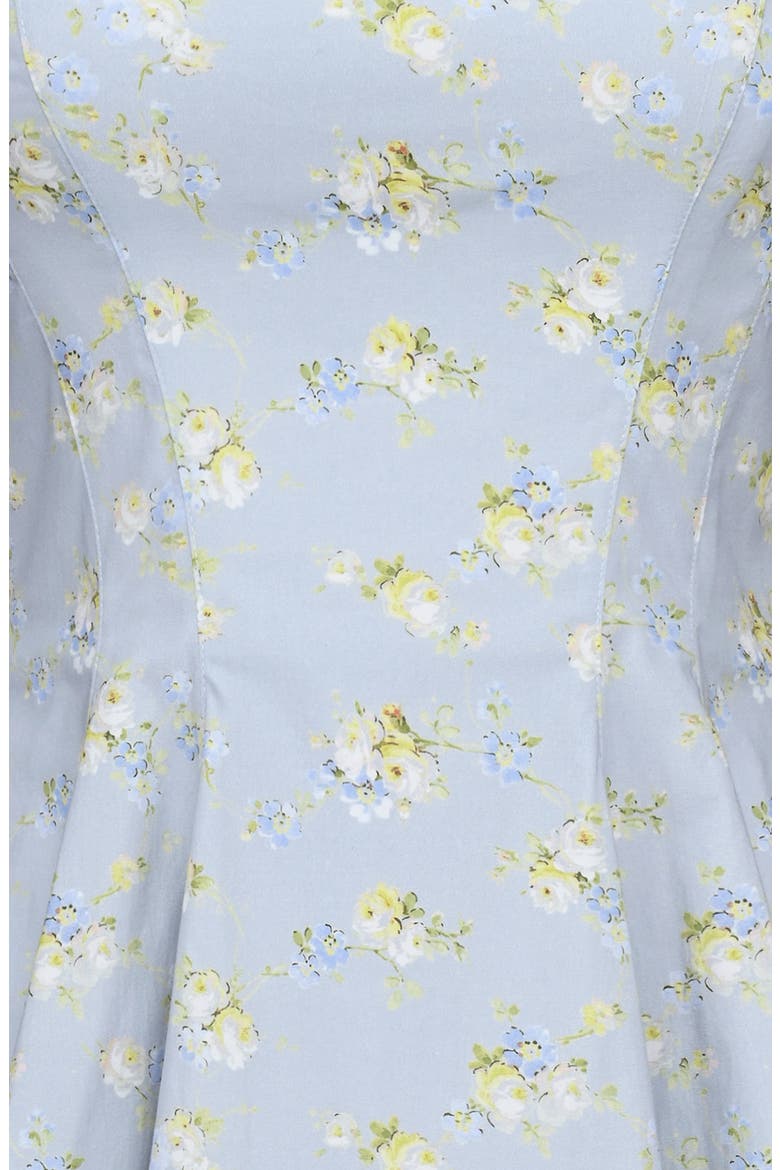 Dolly Wildflower Print Fit & Flare Minidress, Alternate, color, BLUE WILDFLOWER