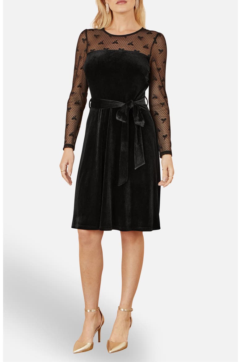 Velvet Skater Dress, Alternate, color, Black