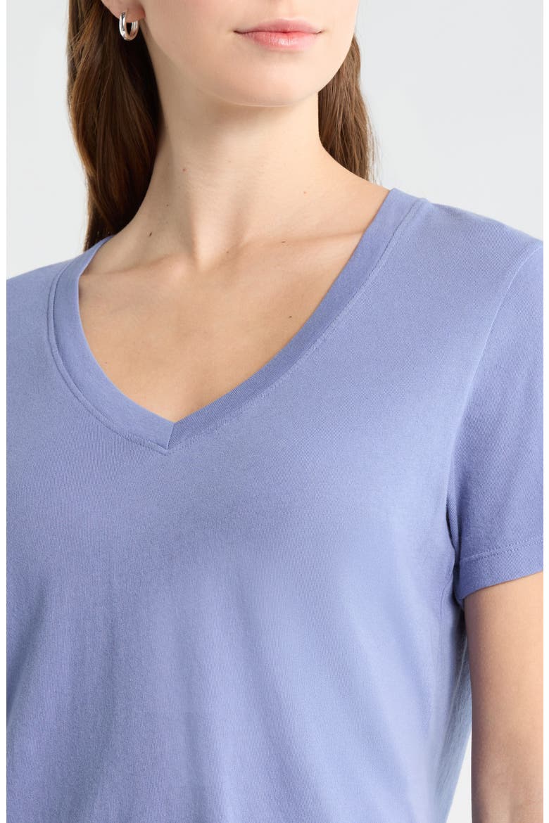The Organic Cotton V-Neck Tee, Alternate, color, Steel Blue