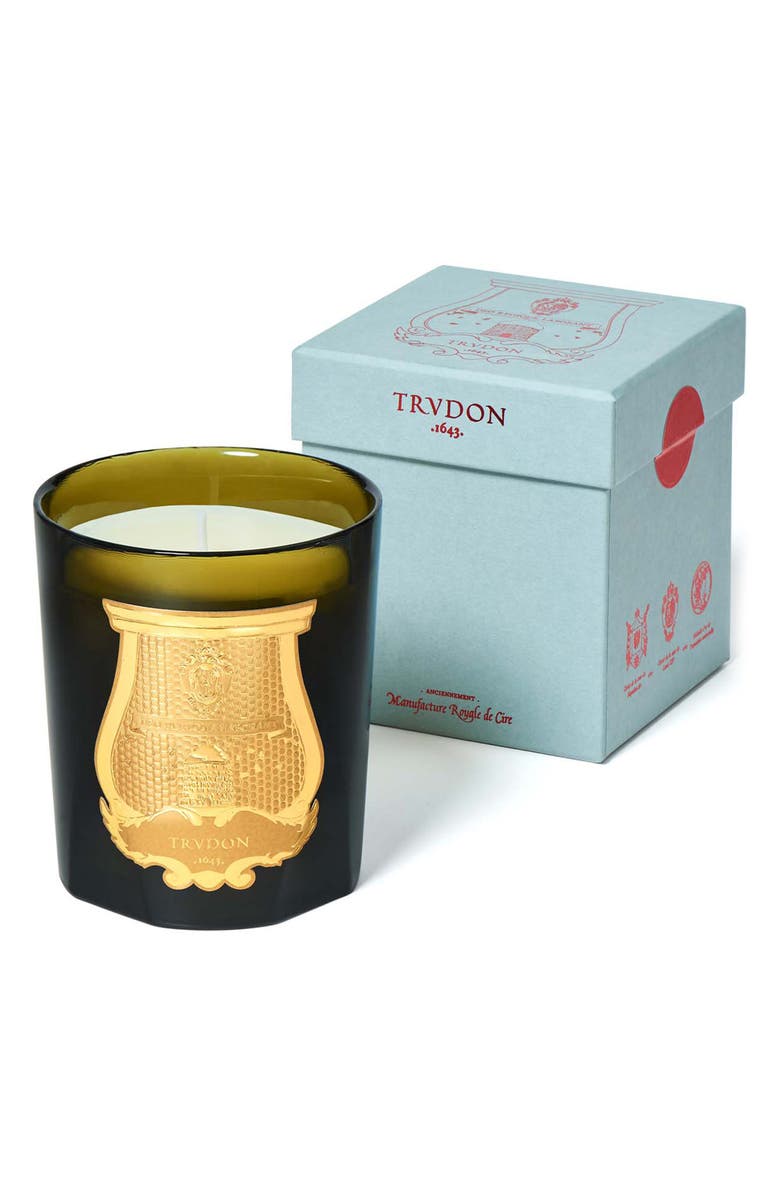 Trudon Madeleine Floral Leather Classic Candle, Alternate, color, 
