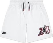 Jordan Kids' In The Paint Shorts