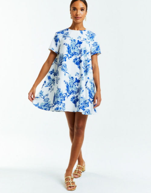 Mestiza New York Women's Cecily Floral Minidress In Blue