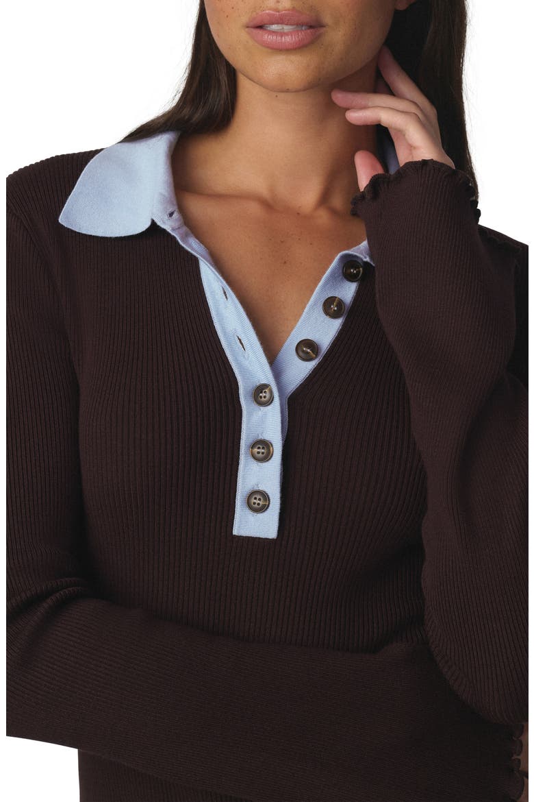 Riley Polo Sweater, Alternate, color, ESPRESSO