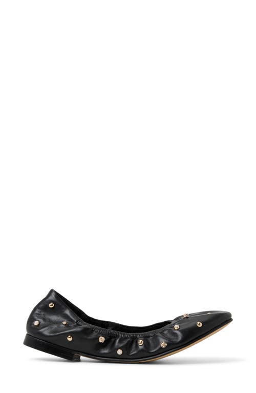 Ted Baker Lottie Studded Ballet Flat In Animal Print