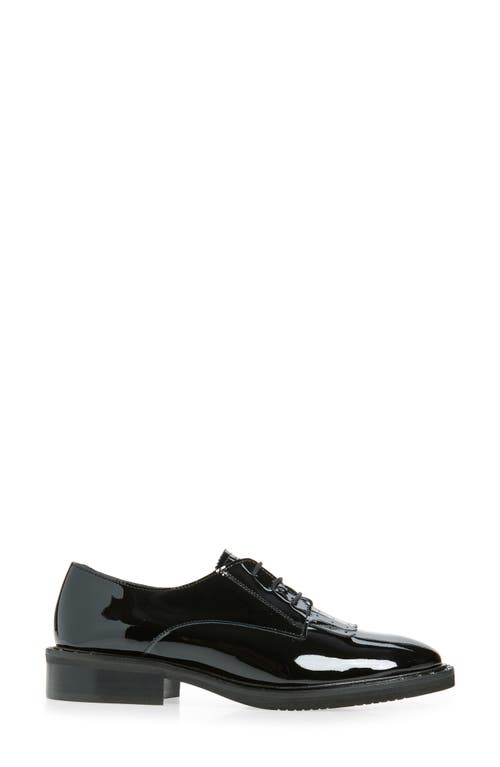Bruno Magli Cabana Kiltie Derby In Black