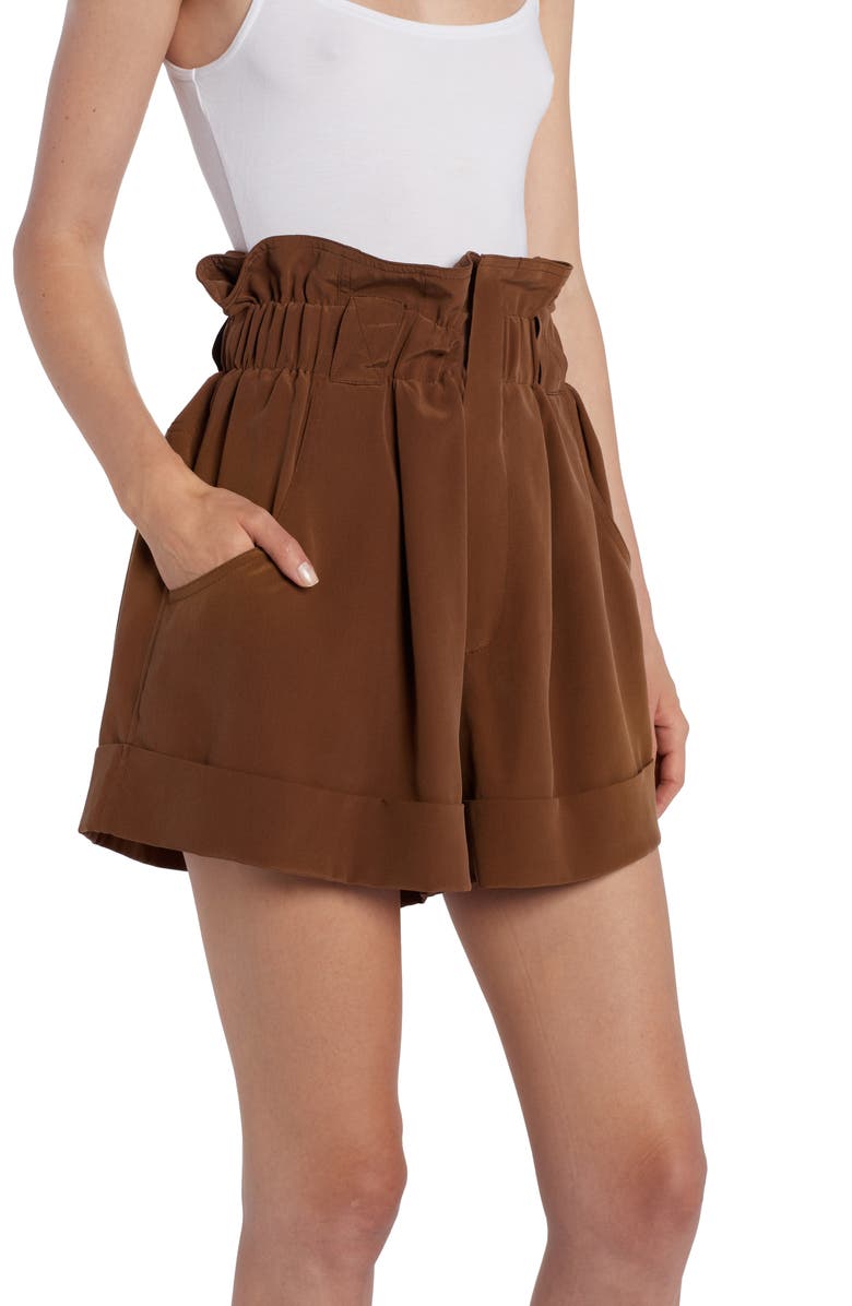 Fendi Paperbag Waist Washed Silk Crêpe de Chine Shorts, Alternate, color, 