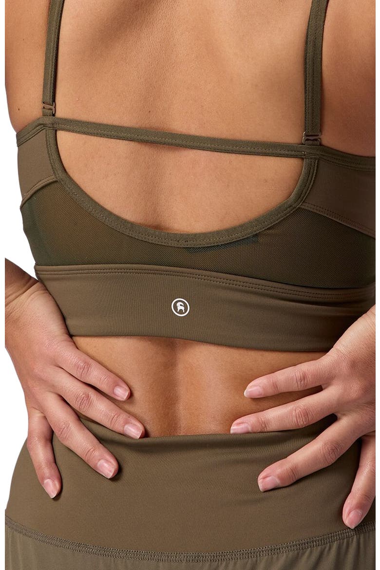 Destination Square Neck Bra Top - Women's, Alternate, color, Kalamata