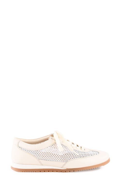 SEYCHELLES SEYCHELLES NAPLES SNEAKER