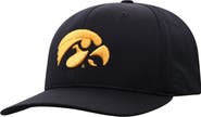 TOP OF THE WORLD Men's Top of the World Black Iowa Hawkeyes Reflex Logo Flex Hat