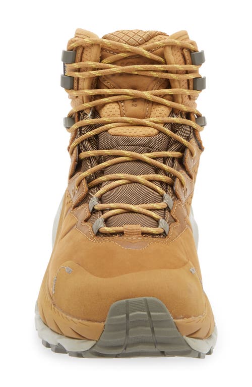 Hoka Kaha 2 Gtx Waterproof Hiking Boot In Honey/barley
