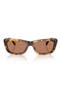  Honey Havana / Solid Brown