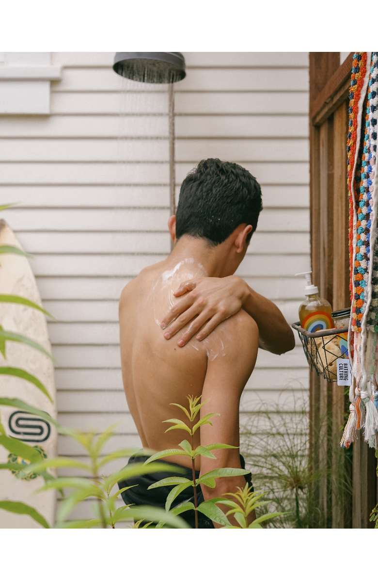 Bathing Culture Mind and Body Wash Refill, Alternate, color, Meadow Vision