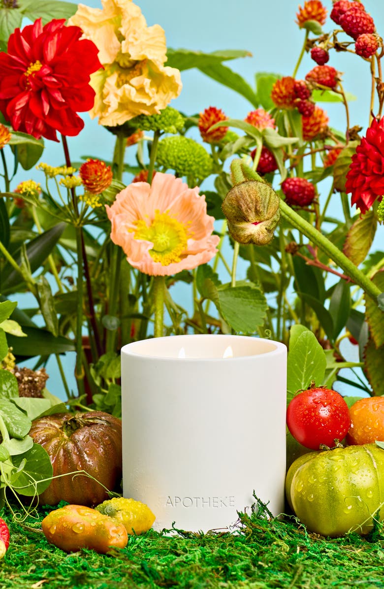 APOTHEKE Tomato Tarragon 2-Wick Concrete Candle, Alternate, color, 