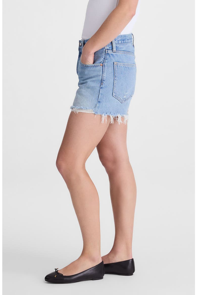 The Essex Baggy Denim Shorts, Alternate, color, FADED HORIZON WASH