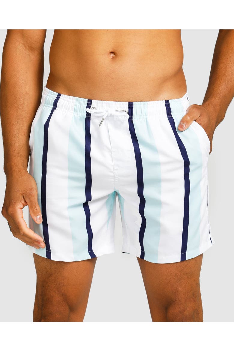 Capri Swim Short, Main, color, Navy, Mint & White Stripe