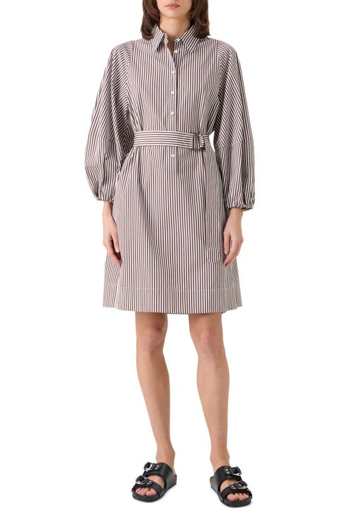 Belted Kodak Stripe Cotton Poplin Shirtdress