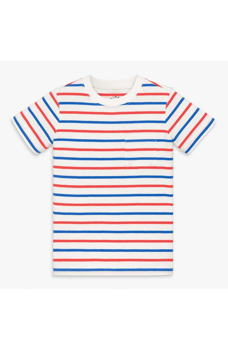 Primary Kids Pocket Tee In Blueberry Stripe, Main, color, Blueberry Strawberry Stripe