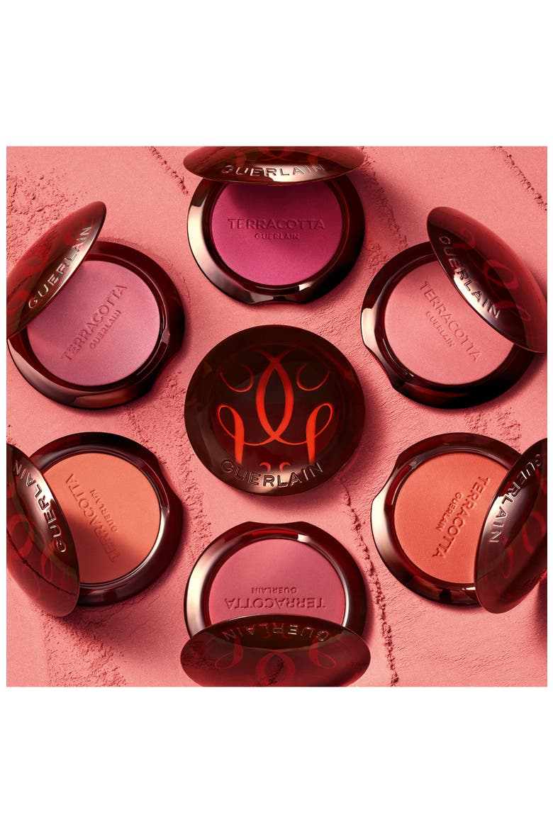 Terracotta Powder Blush, Alternate, color, 03 DEEP NUDE