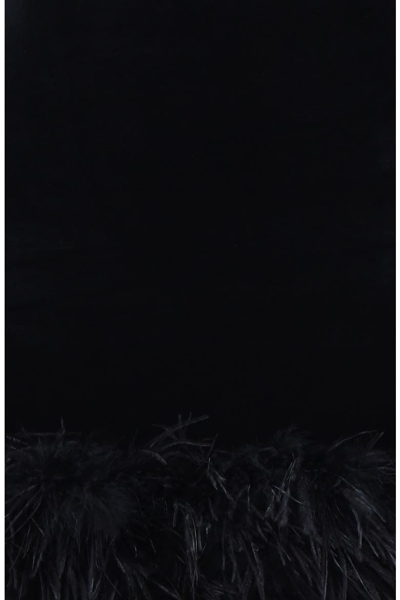 Lavinia Feather Trim Long Sleeve Velvet Minidress, Alternate, color, BLACK