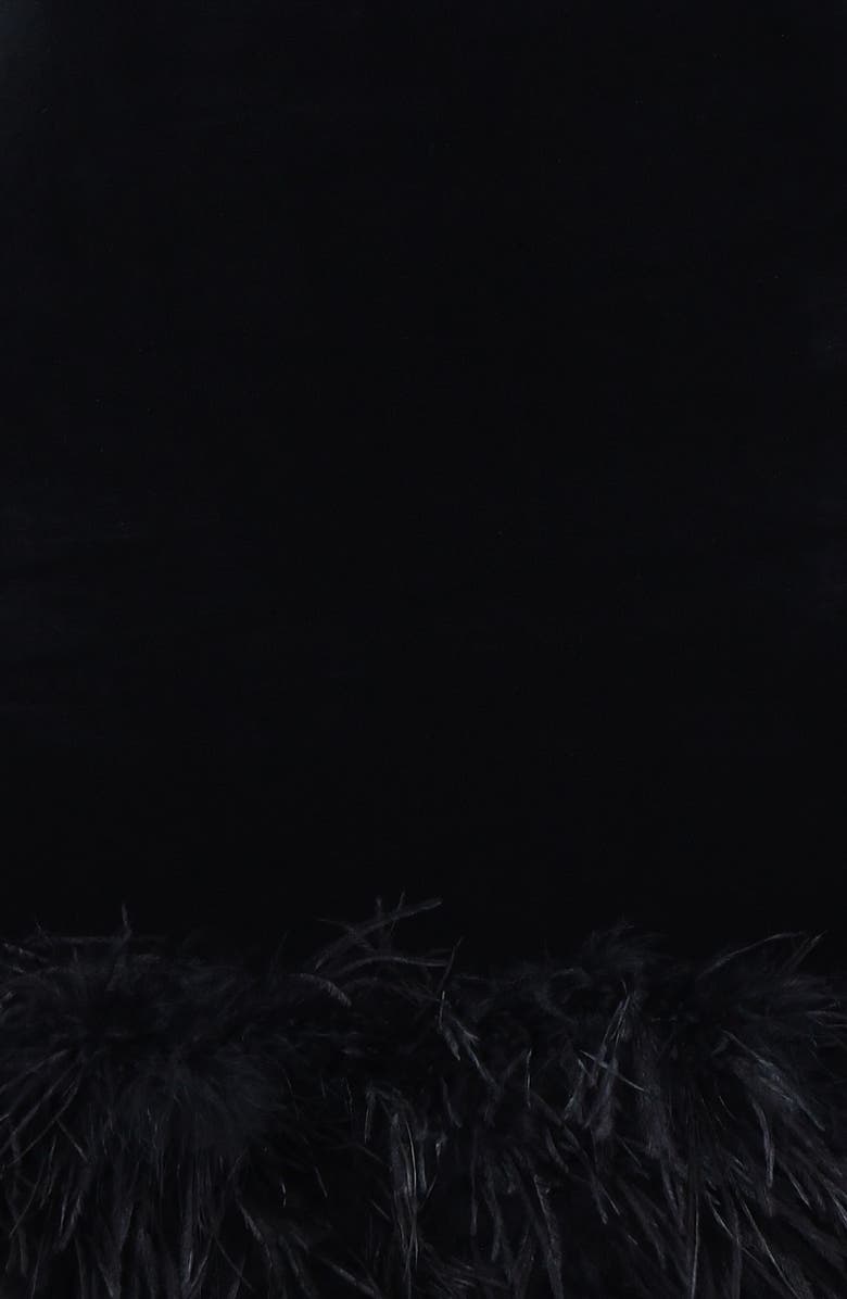 HOUSE OF CB Lavinia Feather Trim Long Sleeve Velvet Minidress, Alternate, color, Black