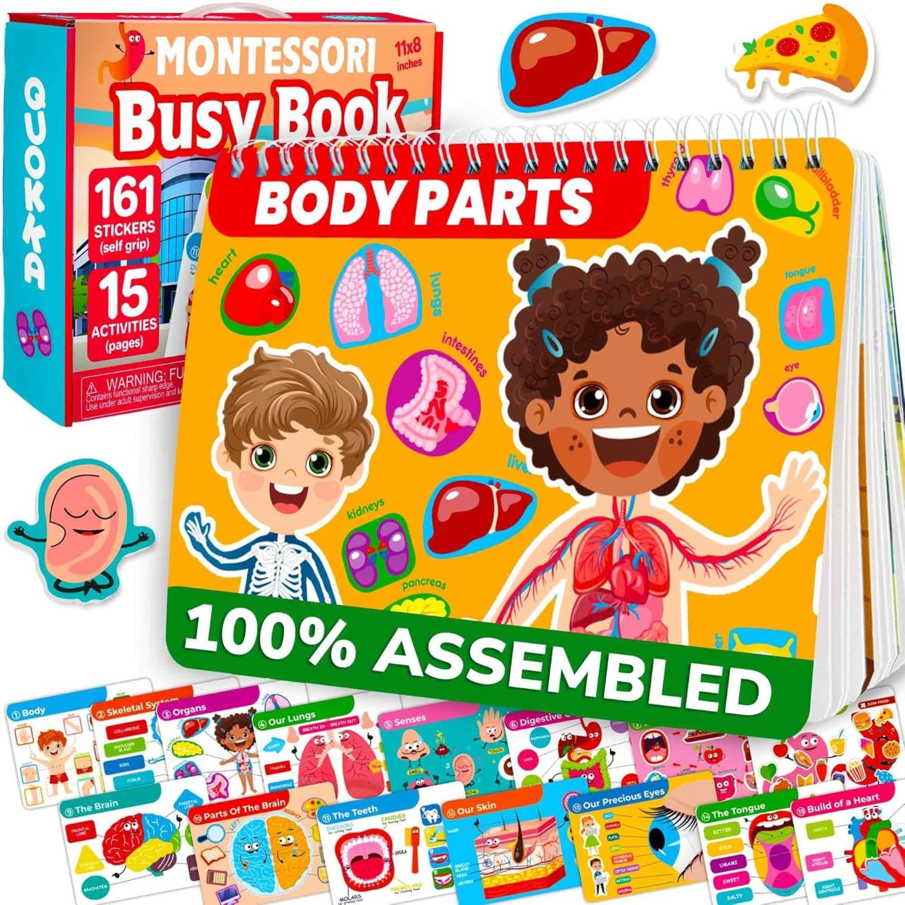 Our body