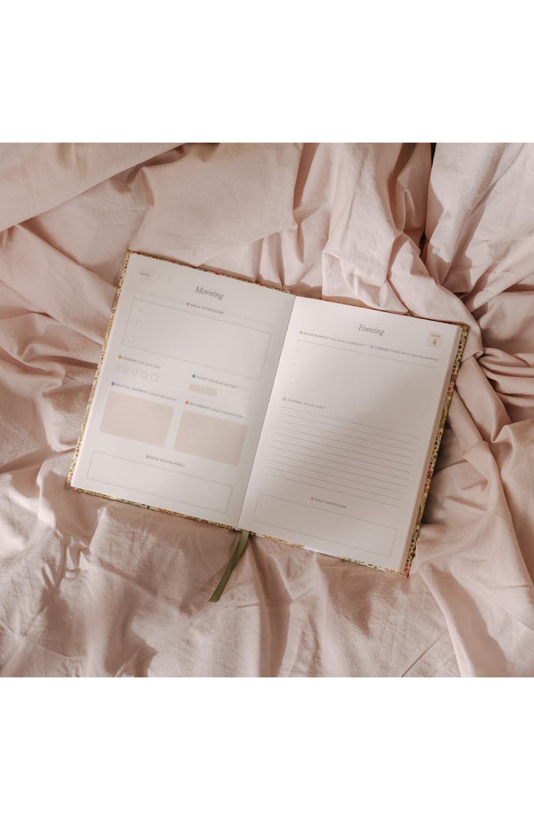 Papier Fairy Flies Wellness Journal, Alternate, color, 