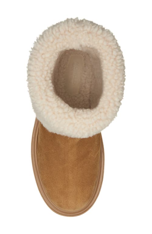 Moncler Aurea Shearling-lined Suede Ankle Boots In Multi