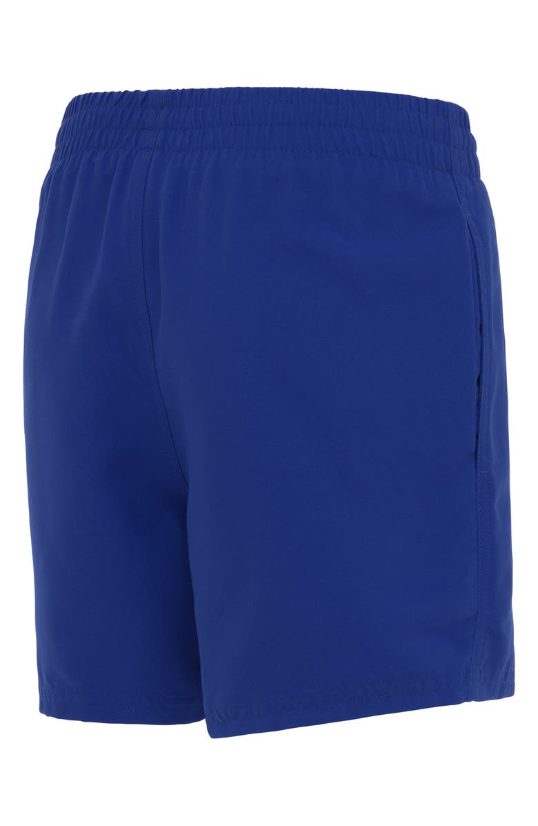 Nike Kids' 4-Inch Volley Swim Trunks, Alternate, color, Game Royal