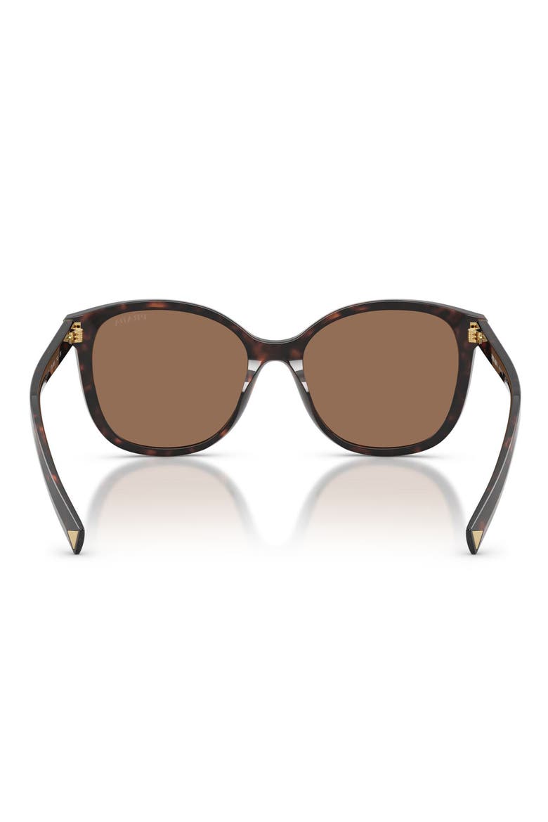 53mm Square Sunglasses, Alternate, color, TARTARUGA RADICA / DARK BROWN