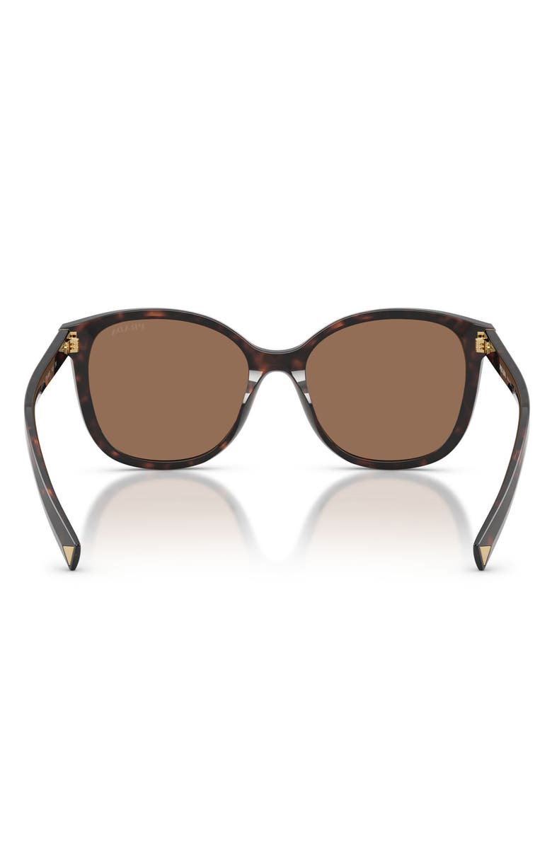 Prada 53mm Square Sunglasses, Alternate, color, Tartaruga Radica / Dark Brown
