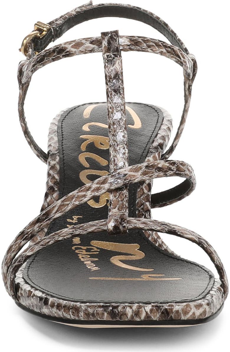 Circus NY by Sam Edelman Jaida Snakeskin Embossed Strappy Sandal, Alternate, color, Taupe Multi