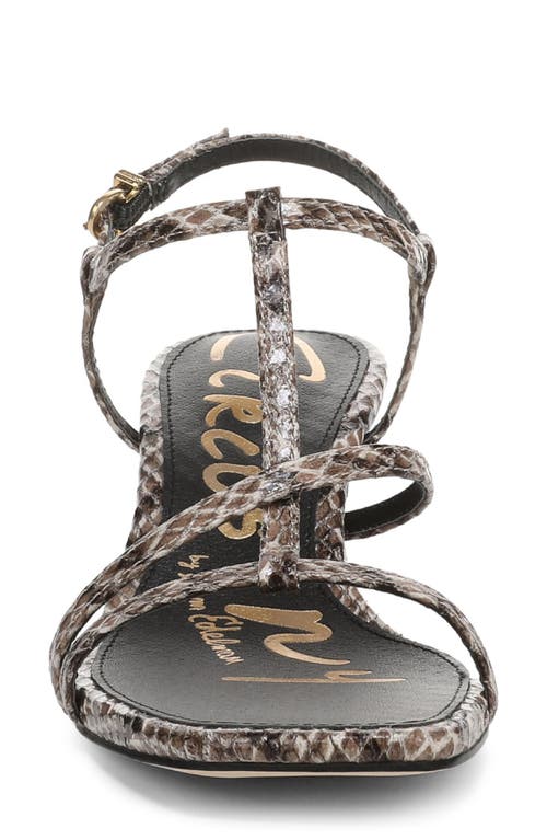 Circus Ny By Sam Edelman Jaida Snakeskin Embossed Strappy Sandal In Multi