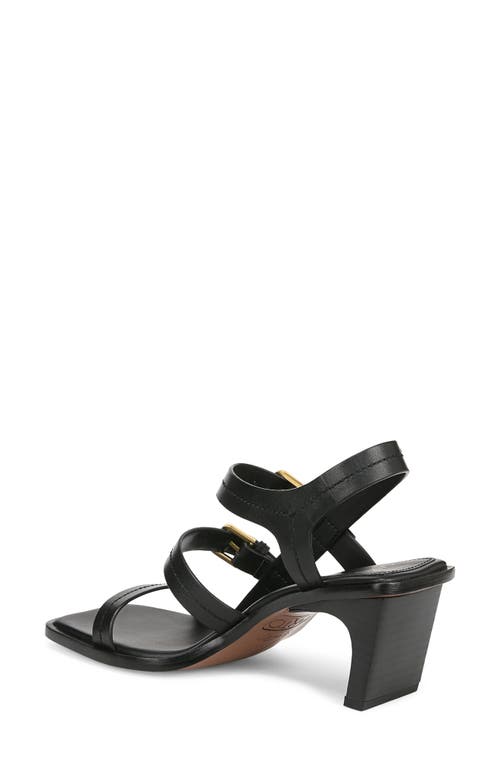 Sarto By Franco Sarto Frances Slingback Sandal In Black