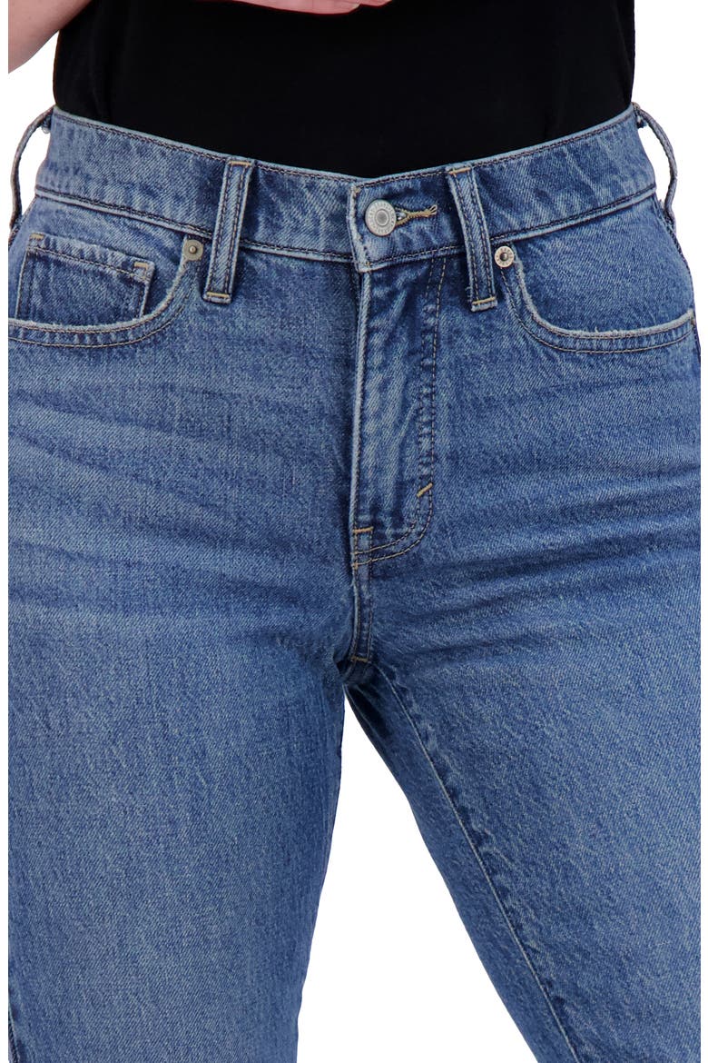 Zoe High Waist Straight Leg Jeans, Alternate, color, PELICAN GROVE FRAY