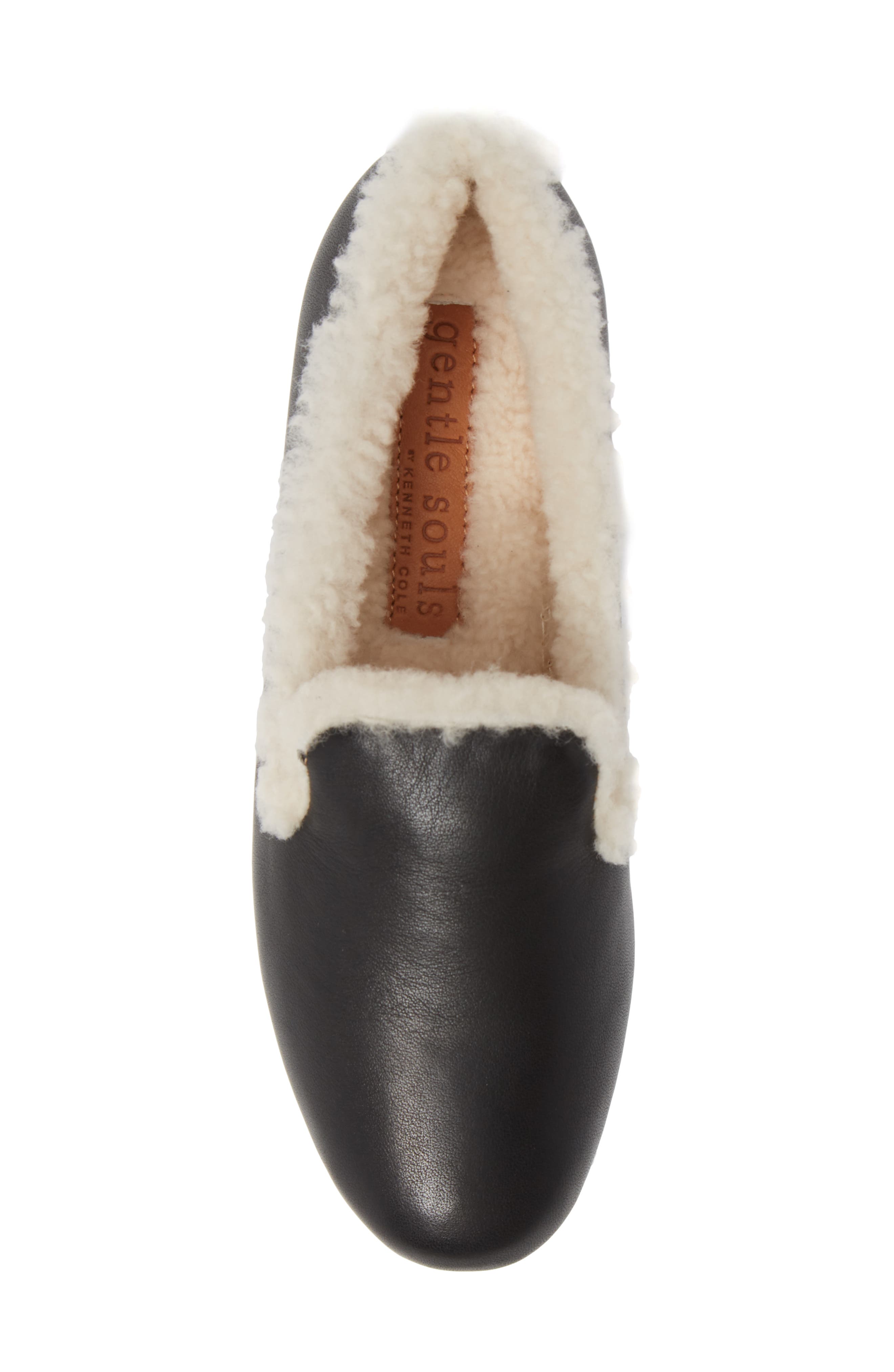 Gentle Souls by Kenneth Cole Eugene Genuine Shearling Lined Loafer, Alternate, color, 