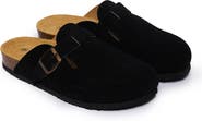 Plakton Blogg Clog