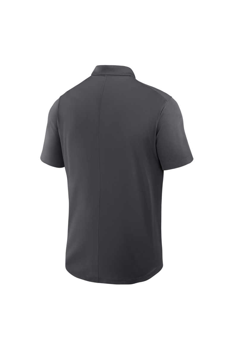 Men's Nike Pewter Tampa Bay Buccaneers Dri-FIT Victory Polo, Alternate, color, Pewter