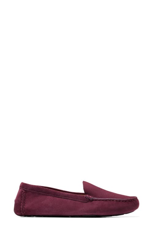 Cole Haan Emmie Driving Loafer In Animal Print