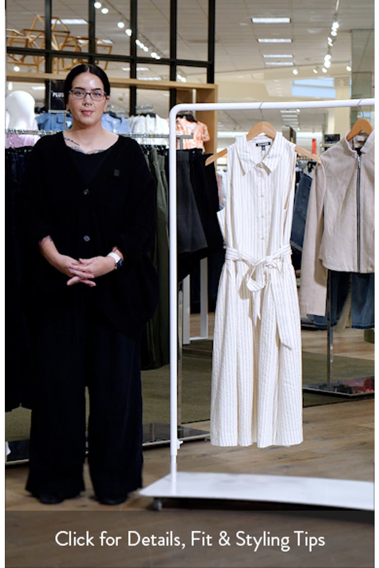 Mary Pinstripe Sleeveless Shirtdress video