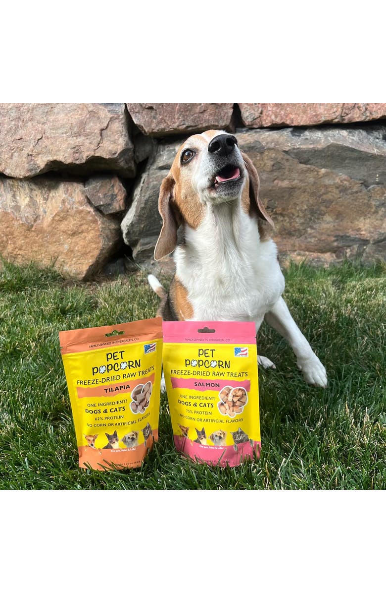 Pet Popcorn Freeze Dried Raw Treats, Salmon, 2.5oz Bag, Dog & Cat Snacks, Alternate, color, 