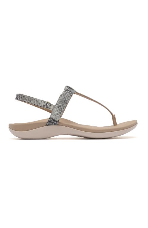 Abeo Oasis T Strap Sandal In Snake - Regular