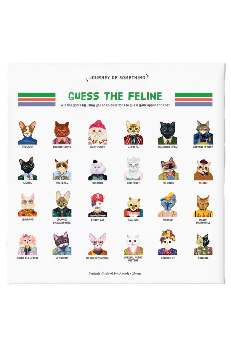Guess the Feline, Quirky Cat Guessing Party Game, Main, color, Multicolored