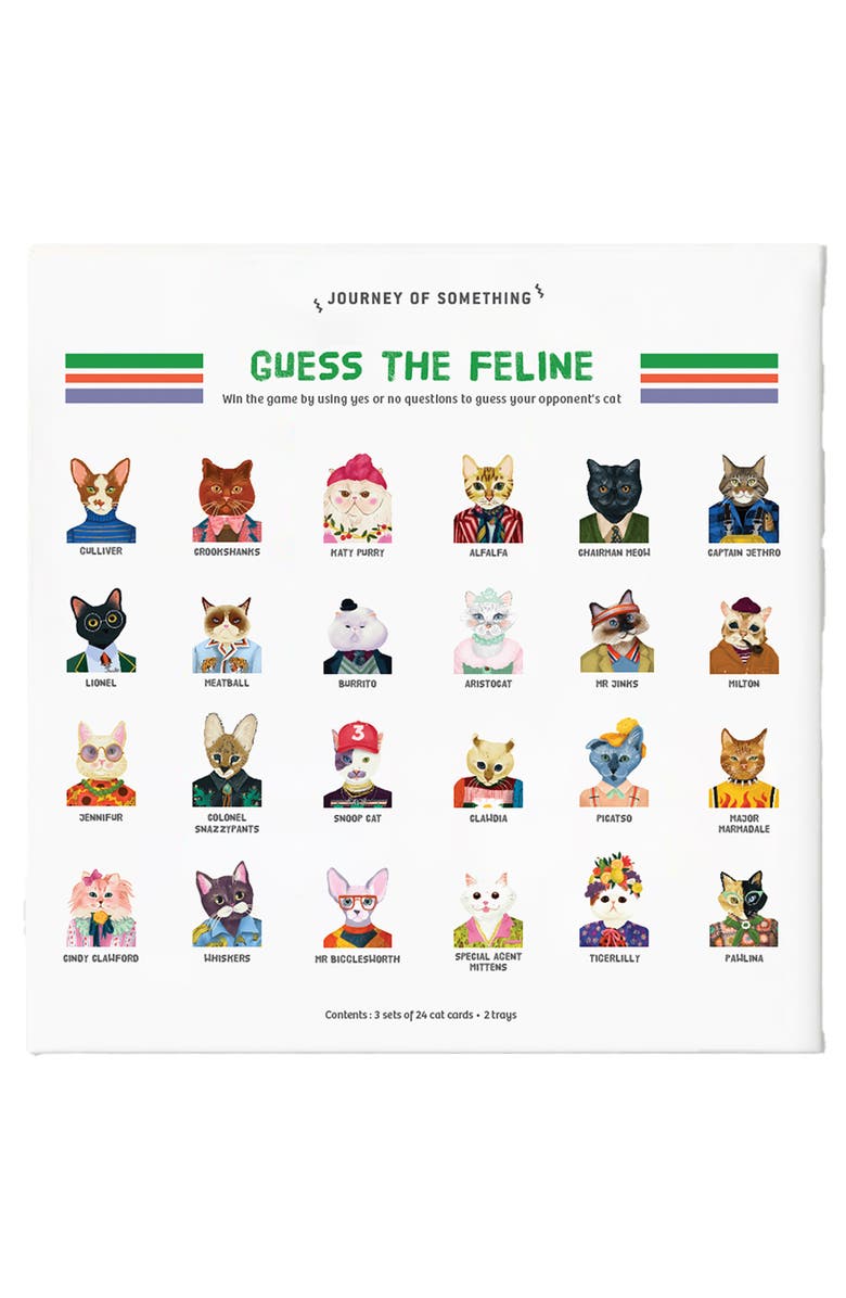 Journey of Something Guess the Feline, Quirky Cat Guessing Party Game, Main, color, Multicolored