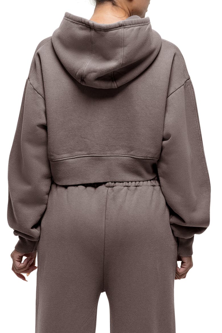 Vintage Taupe Crop Zip Hoodie, Alternate, color, Brown