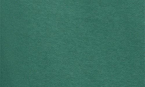 Favorite Daughter Collegiate Sweatshirt In Evergreen In Green