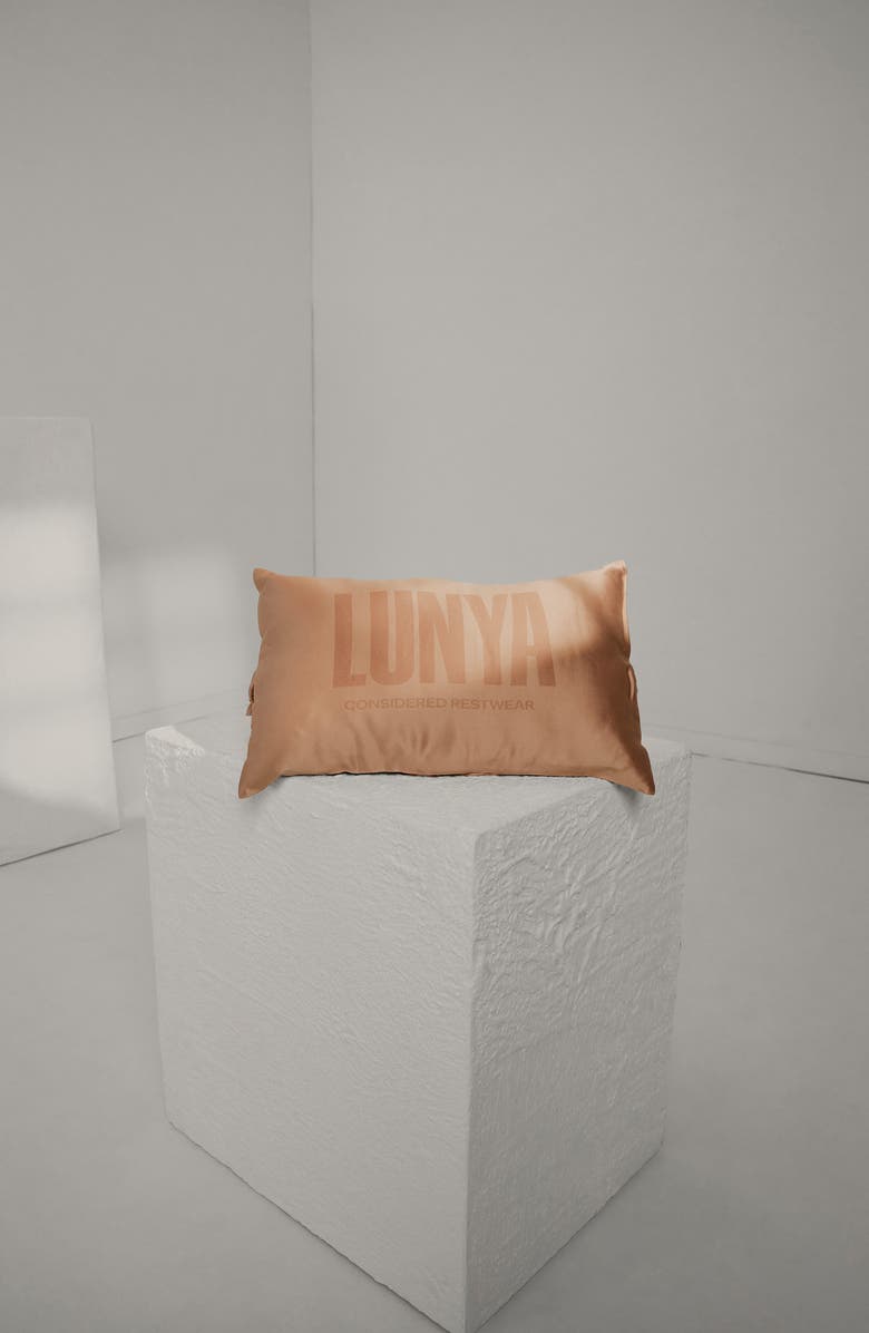 Lunya Washable Silk Blend Travel Pillow, Alternate, color, 