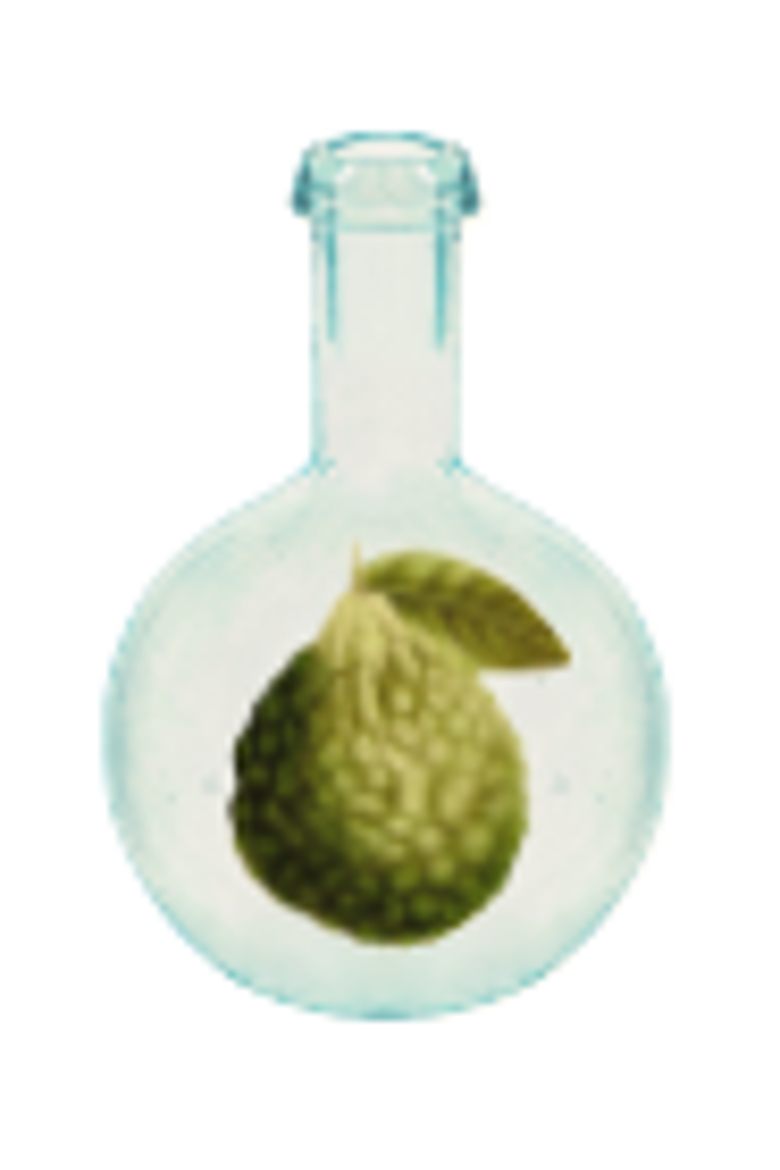 Eau de Toilette Suede, Alternate, color, Clear